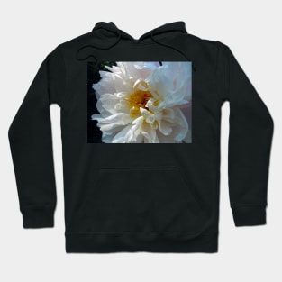 The Sensuous One. Hoodie